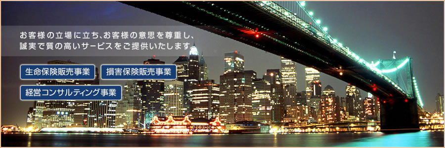 保険販売事業、損害保険販売事業、経営コンサルティング